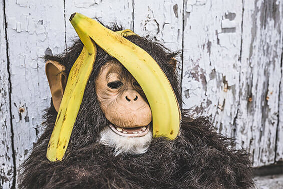 求问手机号测压网站